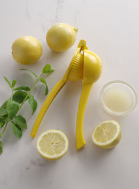 BarUp Citruspress, gul (för citroner), 223x75x(H)45mm