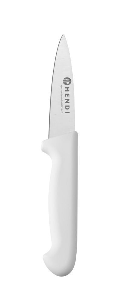 Paring knife, 100 mm, HACCP