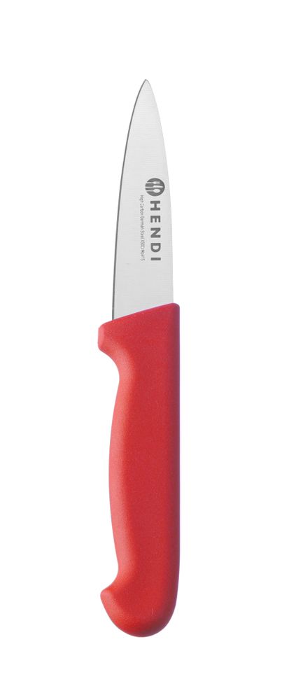 Paring knife, 100 mm, HACCP