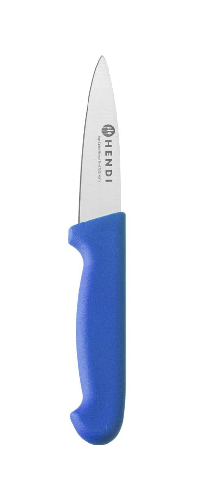 Paring knife, 100 mm, HACCP