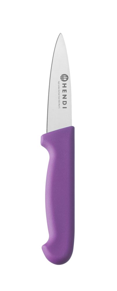 Paring knife, 100 mm, HACCP